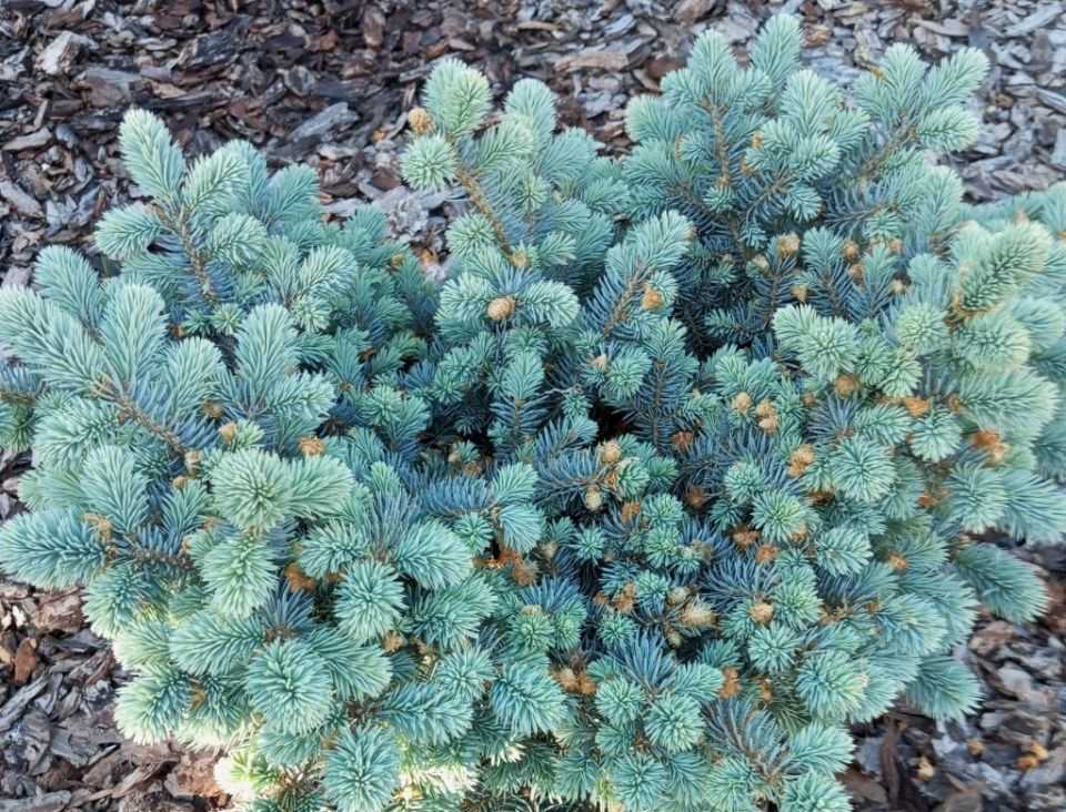 �������� ���: ������� ��������� ����� �� �������� ����������