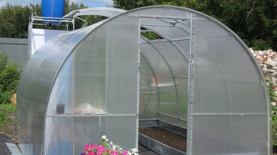 Как правильно обеззаразить почву в теплице перед высадкой рассады