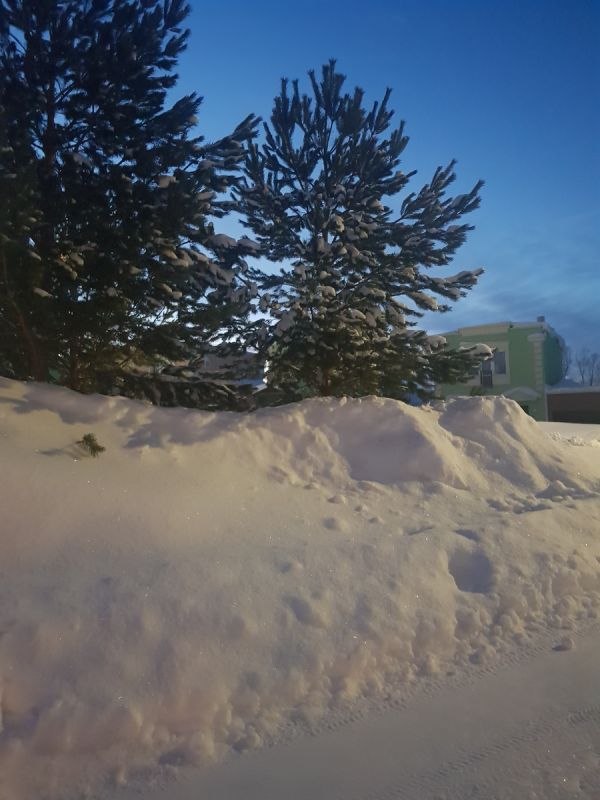 ��� ����������: ����������� ������ �� �������� ���