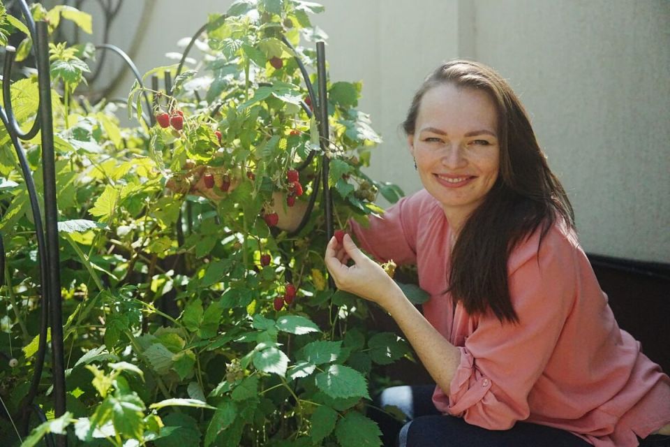 ����� ��� ������������ ���������� � �������� ����