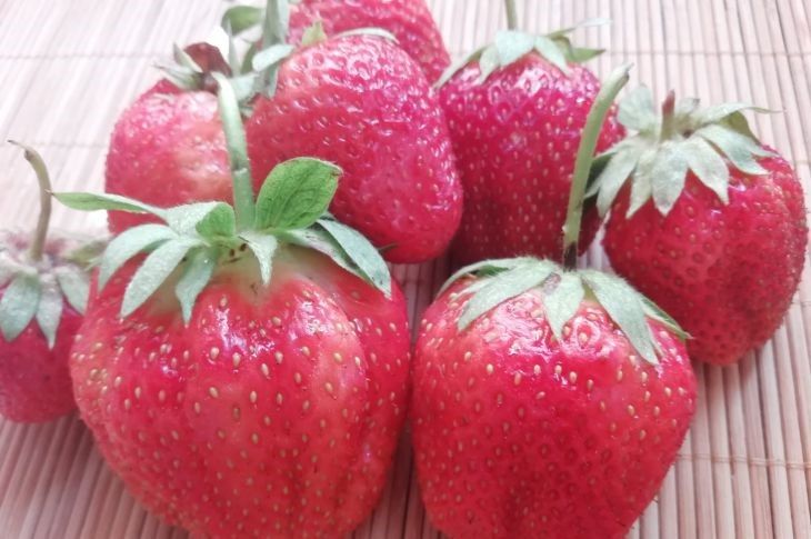 ������� ��������� �� ����� �����: ��� ��������� ���� �������� � ������� �����