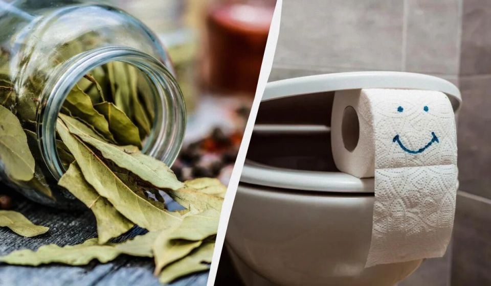 �������� ���� � �������: ������ ��������� ������� � ��������