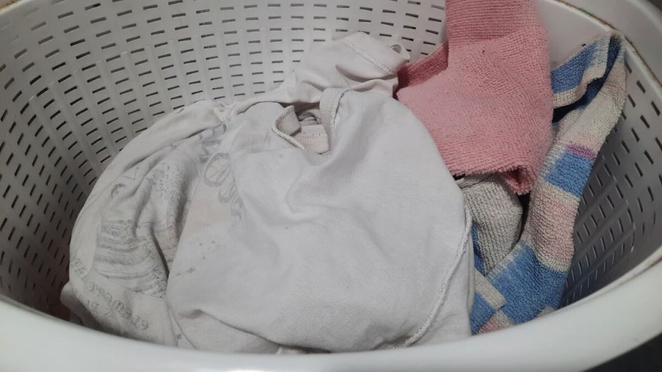 ��� �������� 91-������ ������� ���������� ���������� ����� �������� ����� �� ����� � ��������� �����������