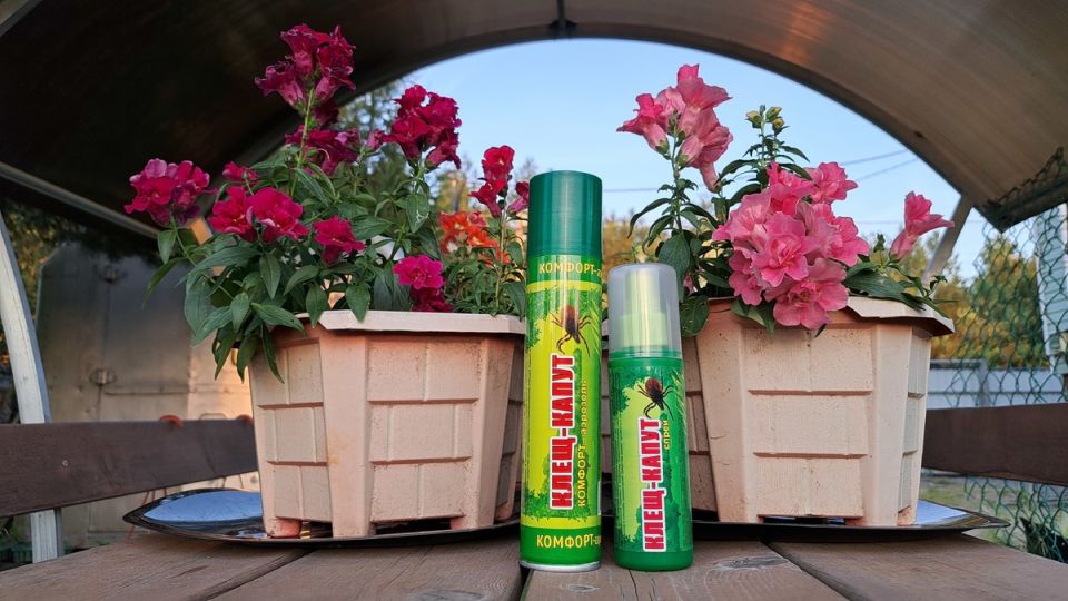 Как защититься от клещей и мошкары: итоги тестирования средств