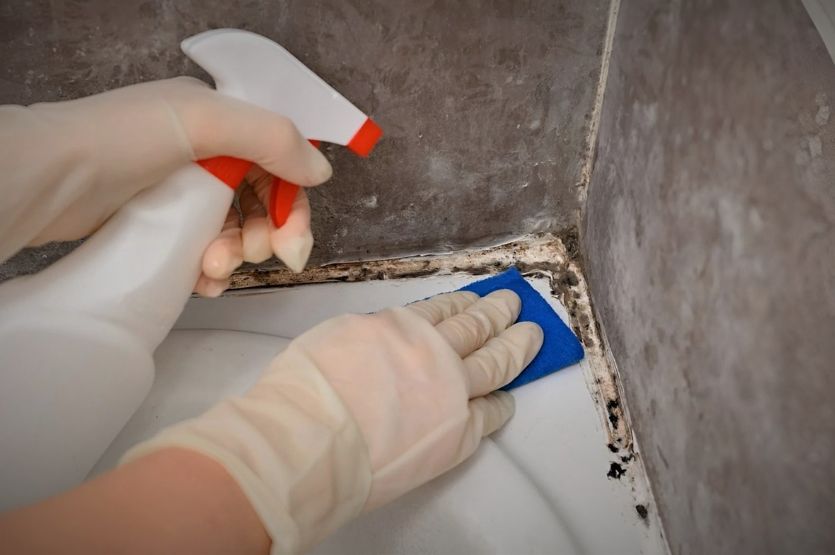 ����������� ������� ������ � �������� � ������ ��� �����