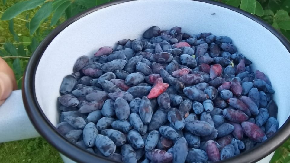 ��� ��������� ��������� ���������� ��������� � ������� ���