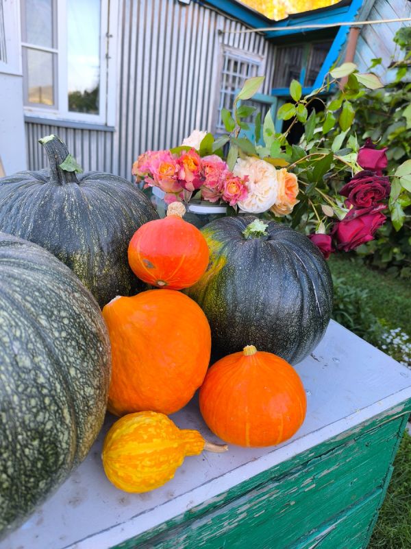 ������ �����: ������������� ����������� �� �������