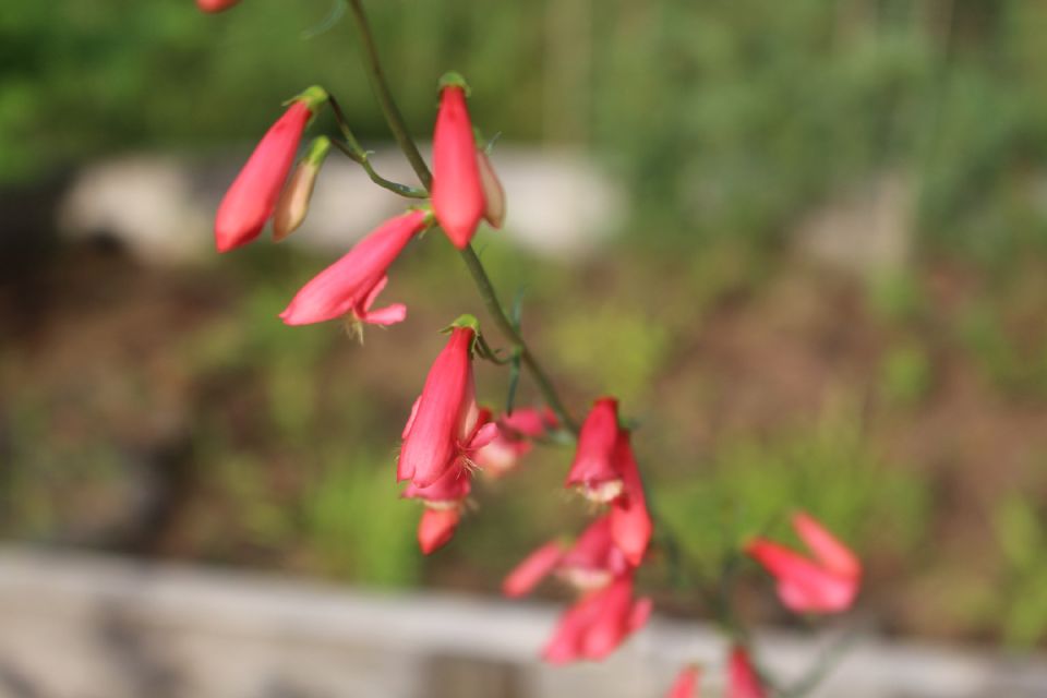 �� ����, � ����� ���������� � ������ ����� ���������� �������� ���