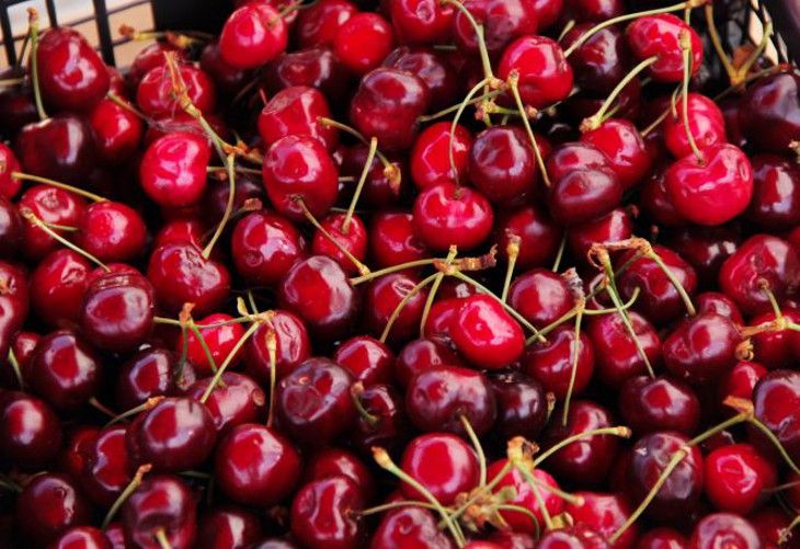 ���� ������ ���� ����� ������� � ��� ��� ����� ���� ������: ��������� �������