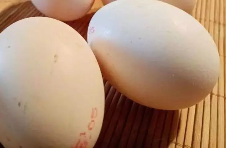 ��� ����� � ������ �������� ������� ����: 5 ������� ��������