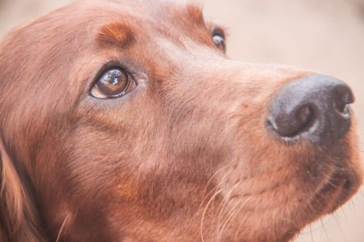 ��� �������� ����� ������ �� ������: ������� ����� ��������������