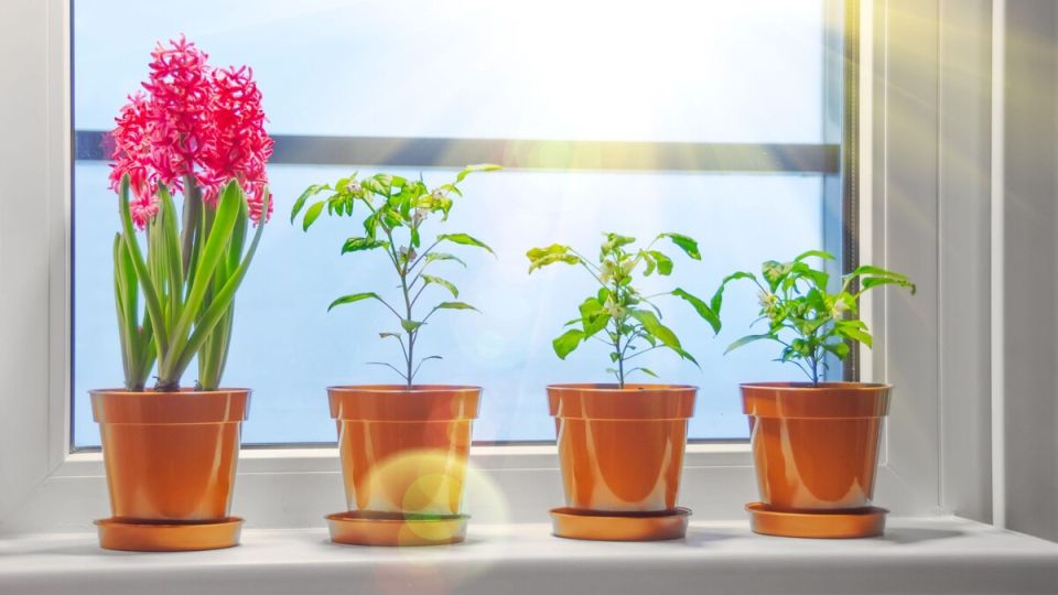 �������� ������ ��������� ��������: ��� ��������� ����� ������� ��� ���������