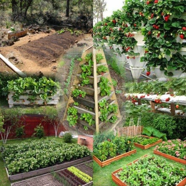 ��� ��������� �������� ��������: ������ �� ����� � ������ �����