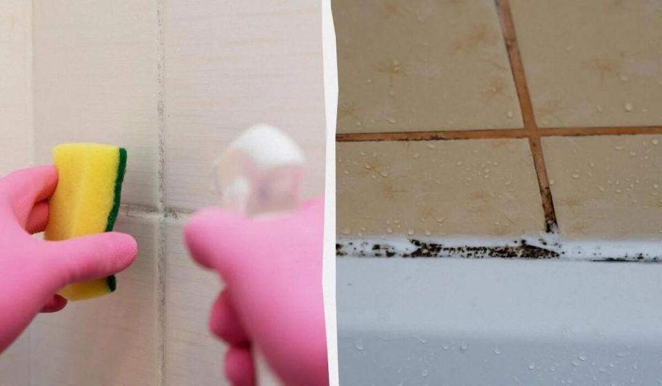 ������� ��������� �������: ��� �������� ������ � ������ ��� ������