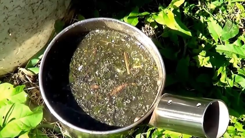 ����� �������� ���������: ���� � ������ � �������� ����������