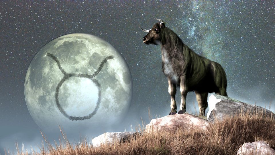 ������� ����������, ��� ������� ���� ��� �������