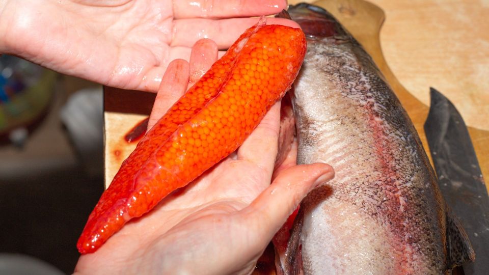 ���������� �� ����������: ��� ������� � �������� ������� � �����