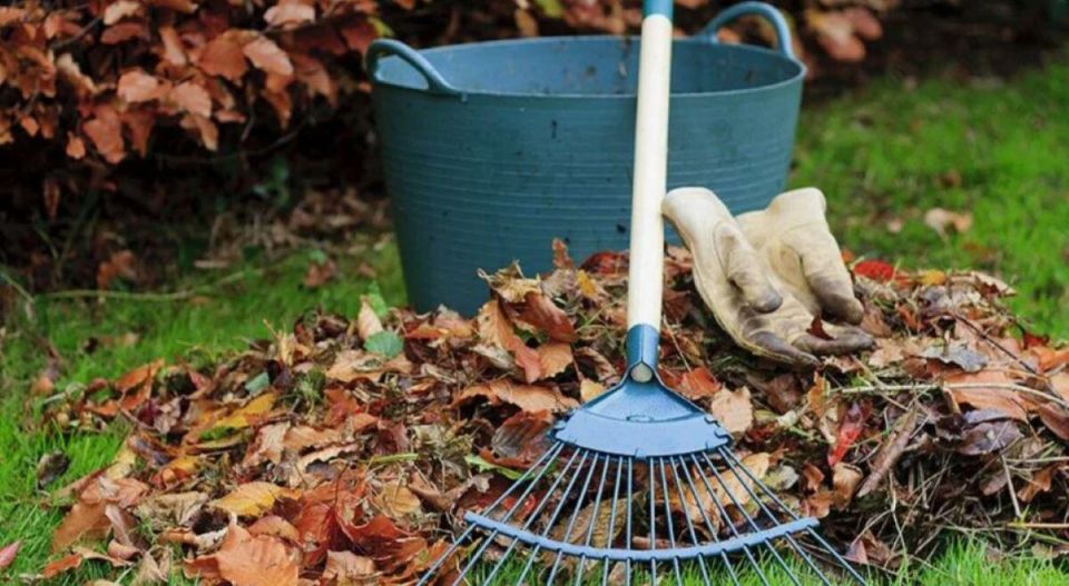 ��� ������� ������� ��������� ��� ������� ������ �� ��������� ���