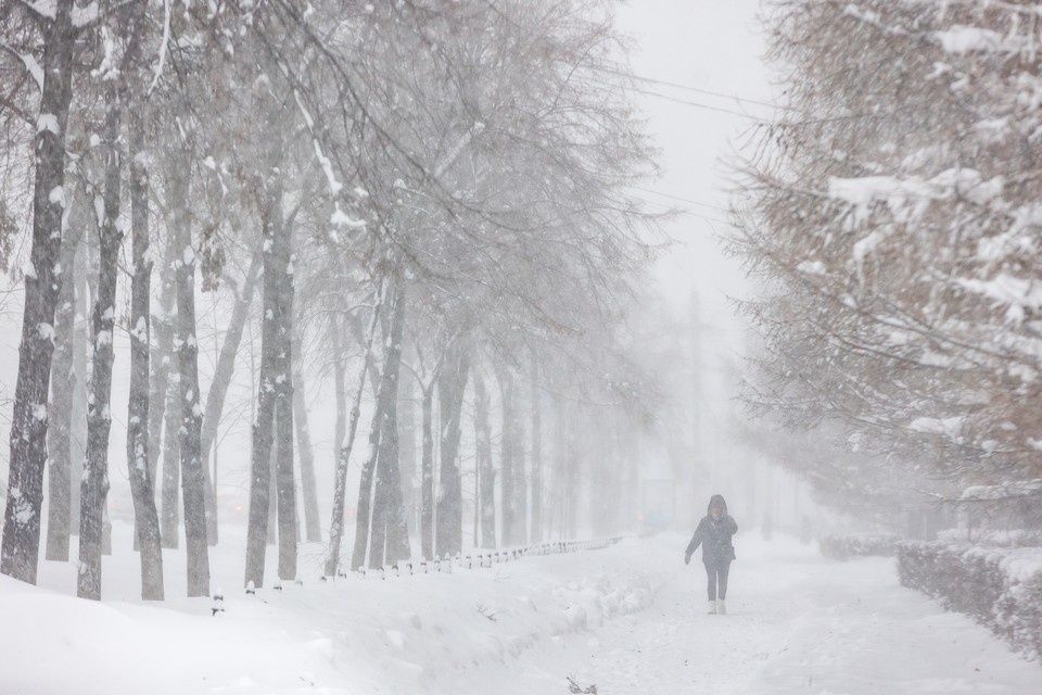 ��������� ��������� � ����� �� ���� �� ������ � ������� �����