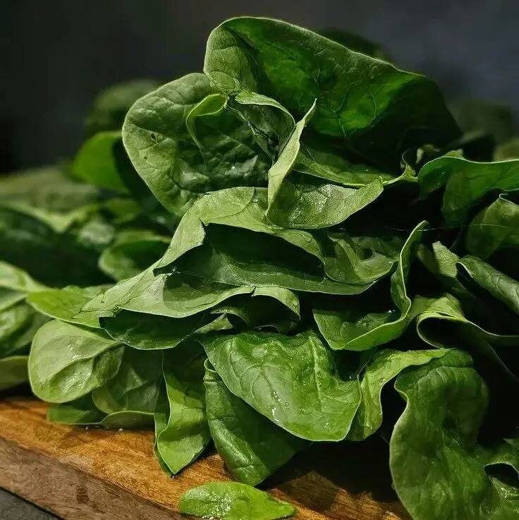 ������: ������ �������� � �������� � ������ ������