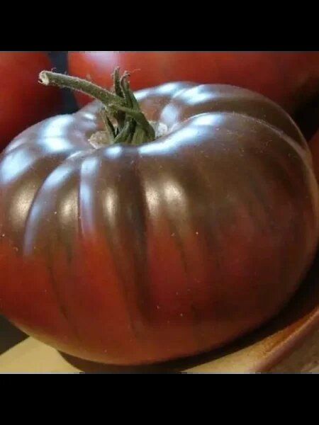 ����� ���������� ���: ��������� �����, ������� ������� ���� ������