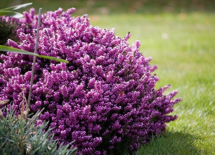 ���� � �������� �������: ����� � ��� ������������� ��� ������� ���������