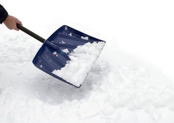 ������ �������: ��� ������ ���������� �� ������ �� ����� �������