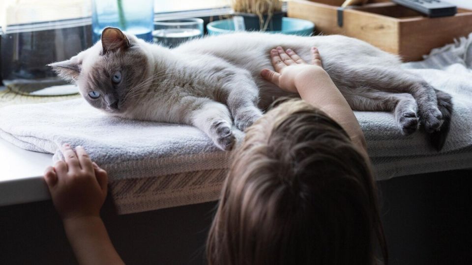 ������ ���� �� ������ ����� ������� � ��� ����� � ���� ��������