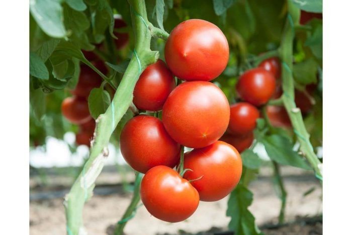 ����� ������: ��� ��������� ���� ���������� ������ � ��� �����������