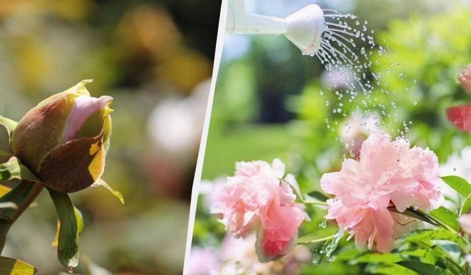 ����� ������? 5 ����������� ������ � ������� ����, ����� ������� ����