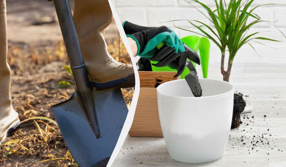 ������� ��������� ����: ��� �������� � ������ ��� �������� ������