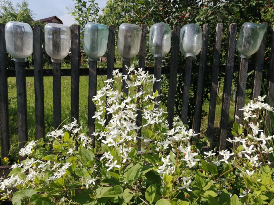 Как дача меняет жизнь: истории, которые заставят задуматься