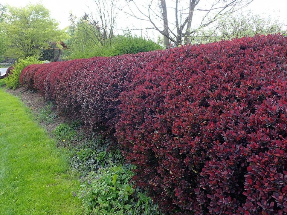 ���������� � ���� � �������������: ������������� �������� ��� ������� �����