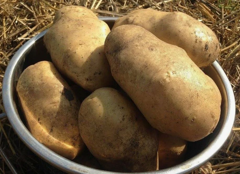 ��� ��������� �������� ��� ������: �������, ������� ������� ���� ����