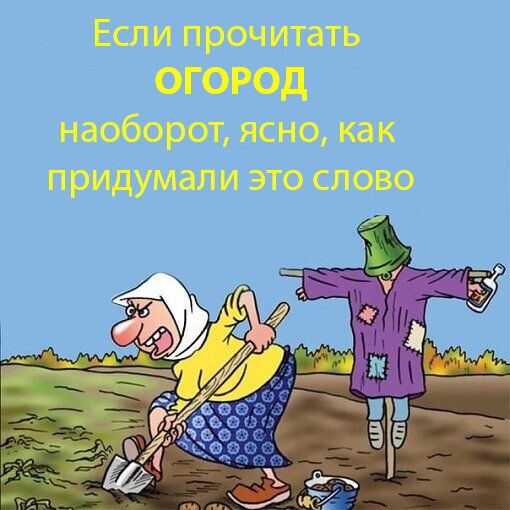 Как не прогореть с покупкой участка: секреты умного планирования