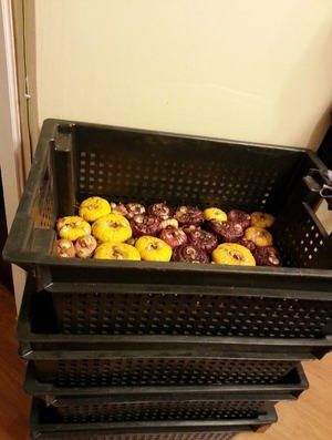 ����������: ������� �������� � ������������ ��� ���������� ��������