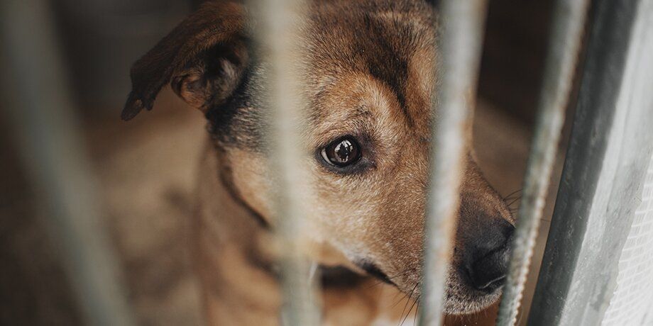 �������� ���������� ��������� ����� �������� ��������