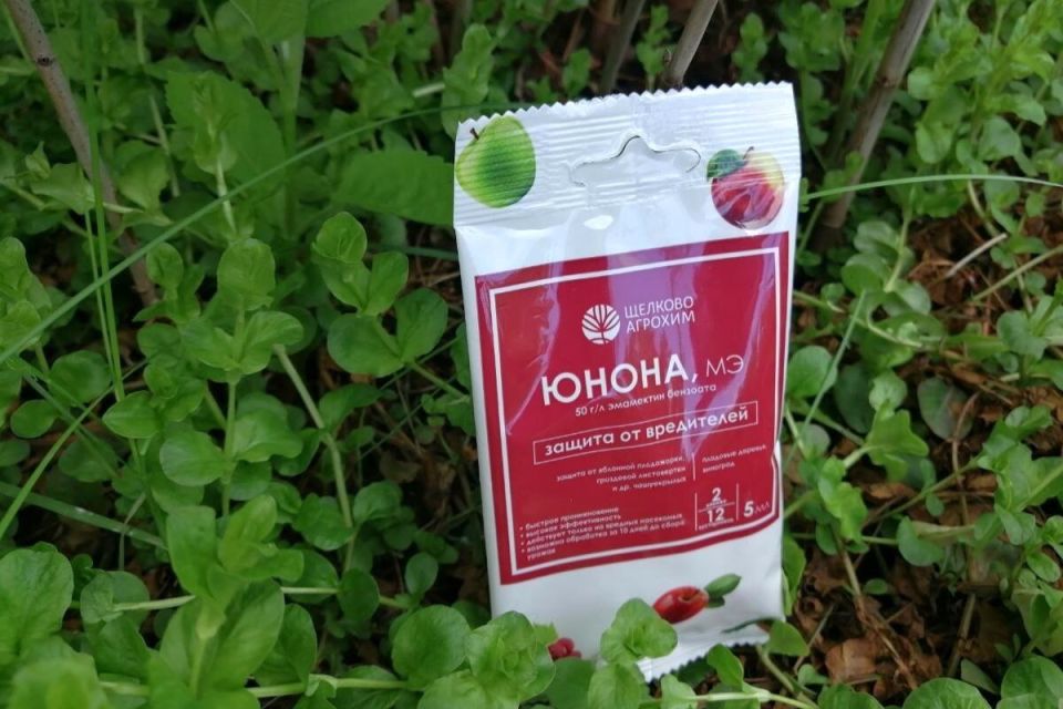 ����������� ������ ������: ��� ����������� '�����' ������� ������