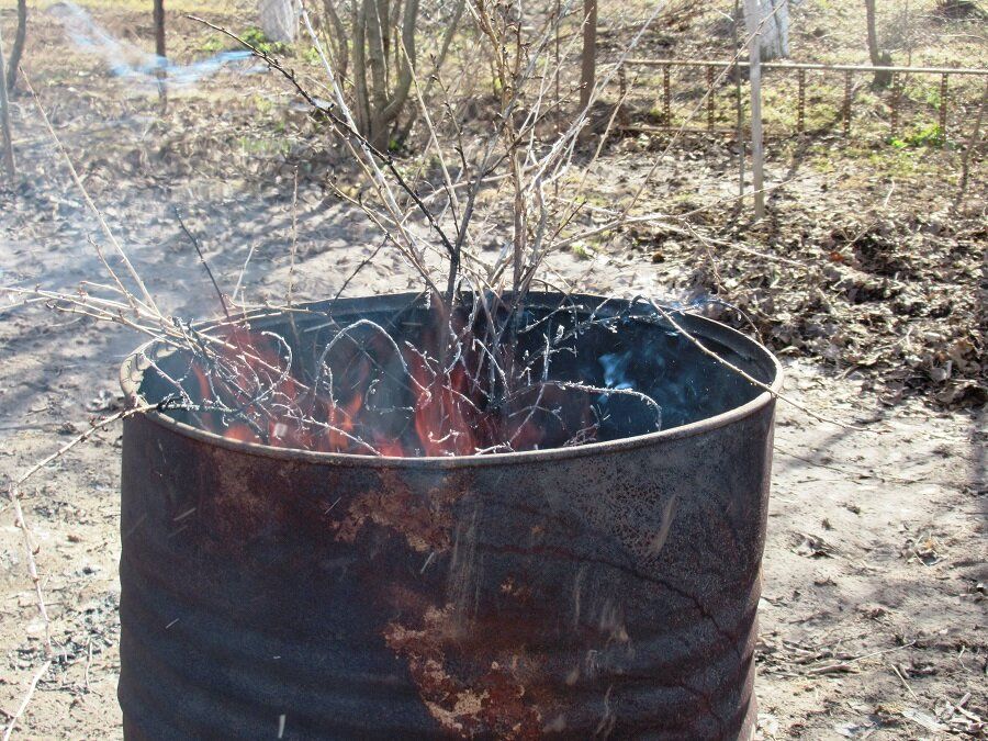 Сжигание мусора на даче: реальный вред природе и советы по обращению с отходами